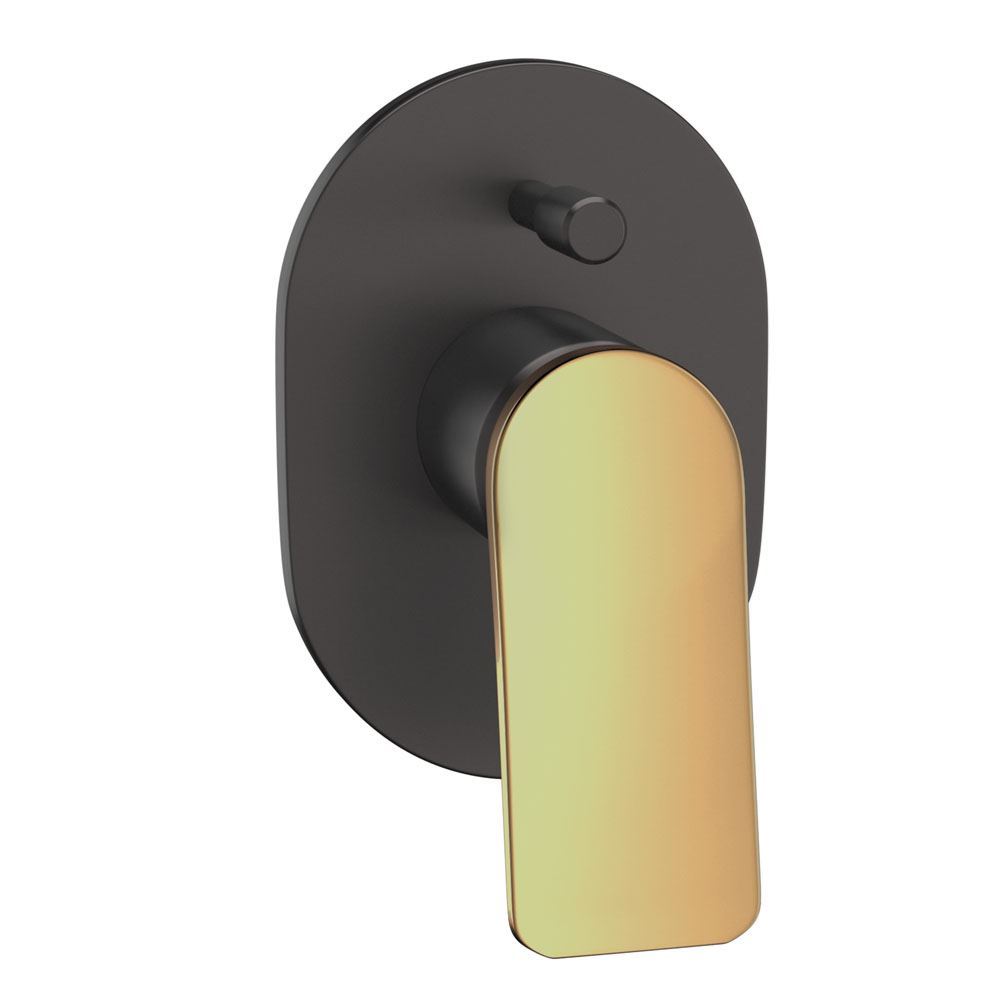 Lever: Gold Matt PVD | Body: Black Chrome Matt