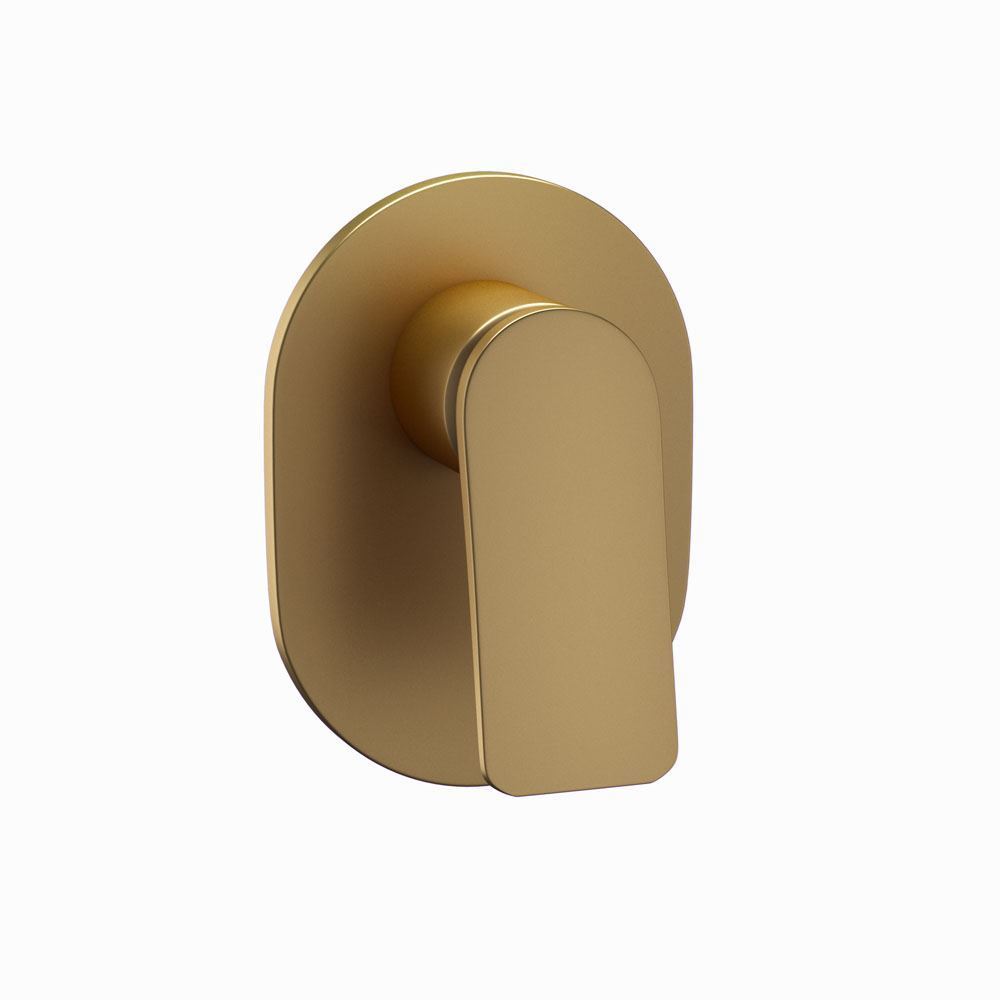 Gold Matt PVD