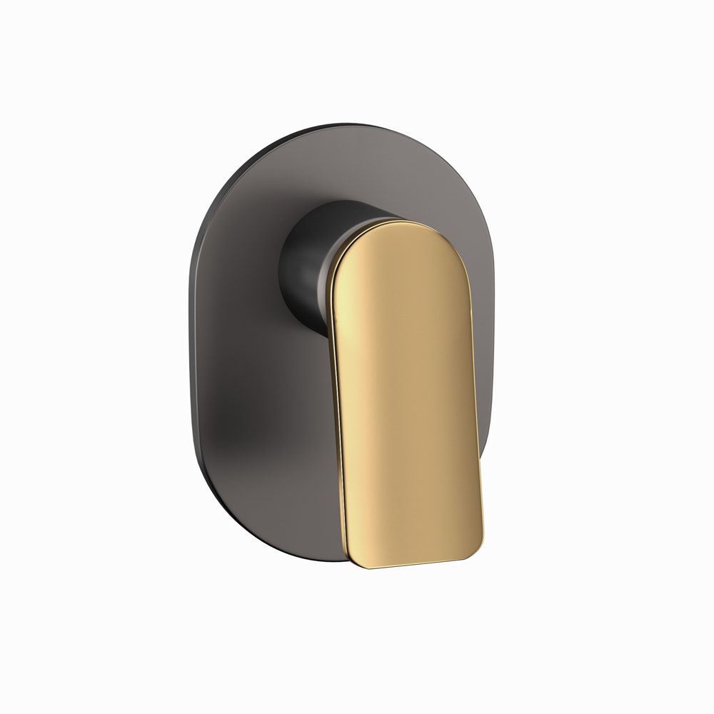 Lever: Gold Matt PVD | Body: Black Chrome Matt