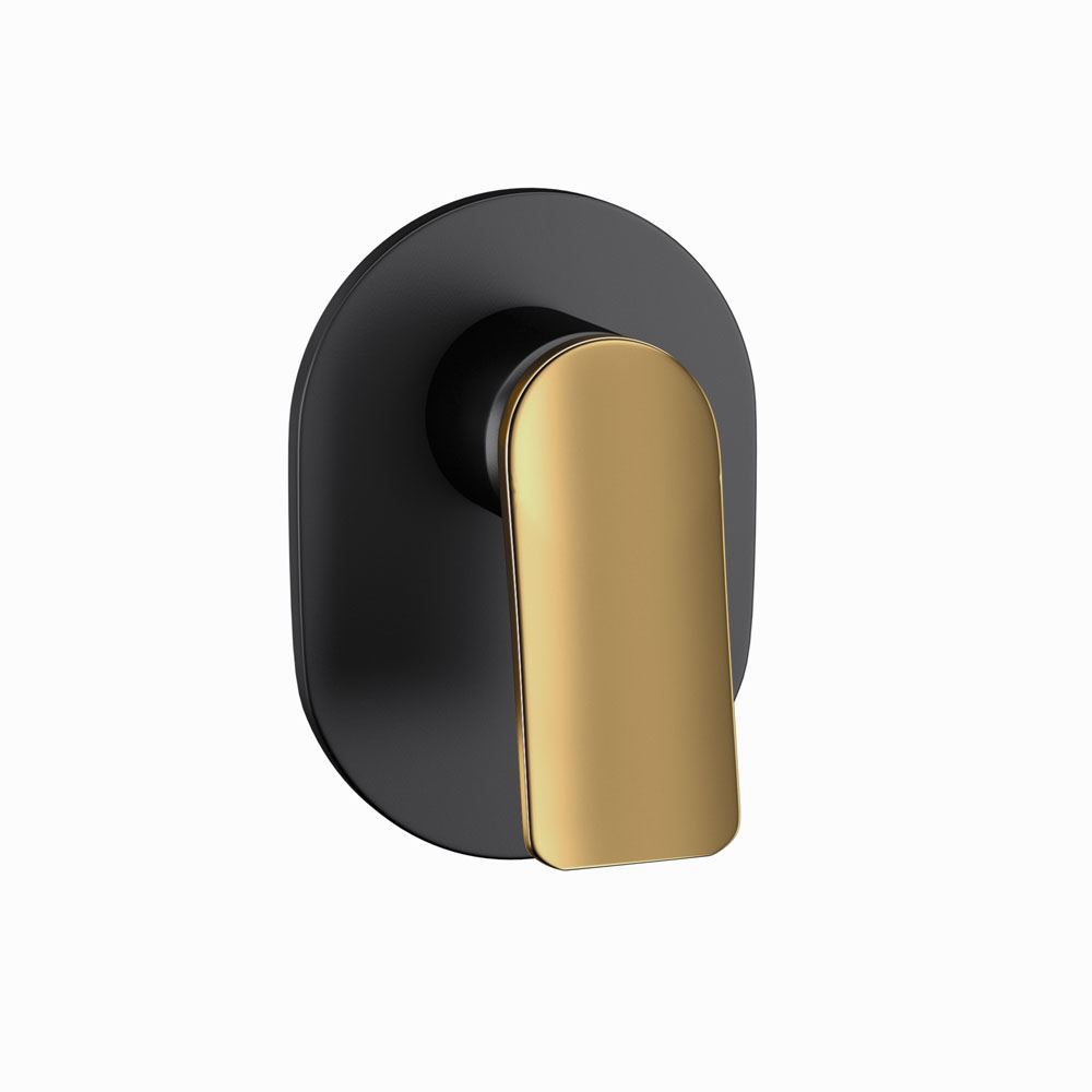 Lever: Gold Matt PVD | Body: Black Matt